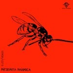 cover: Luca Vera - Incognita Dinamica