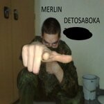 cover: Merlin - Detosaboka 2022