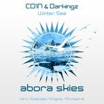 cover: Co1n|Darkingz - Winter Sea