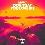 cover: Brynny - Don't Say You Love Me