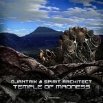 cover: Djantrix|Spirit Architect - Temple Of Madness