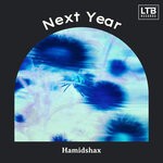 cover: Hamidshax - Next Year (Original Mix)