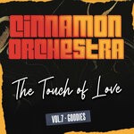 cover: Cinnamon Orchestra - The Touch Of Love (Vol 7 - Goodies)