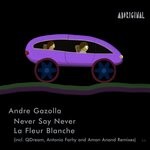 cover: Andr? Gazolla - Never Say Never/La Fleur Blanche