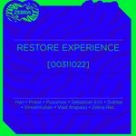 cover: Various - Restore Experience [00311022]