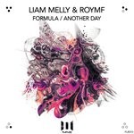 cover: Roymf|Liam Melly - Formula/Another Day