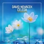 cover: David Novacek|Celeda - The Underground