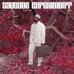 cover: Saudade Experiment - (Got) Everything To Shine