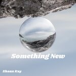 cover: Shaun Kay - Something New