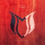 cover: Inrayzex - I Feel