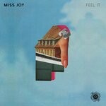 cover: Miss Joy (us) - Feel It