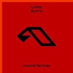 cover: Lostep - Burma (aname Remixes)