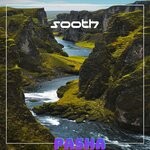 cover: Pasha - Sooth