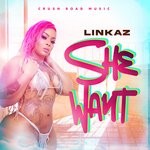 cover: Linkaz - She Want