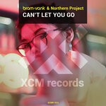 cover: Bram Vank|Northern Project - Can't Let You Go