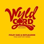 cover: Foley (uk)|Royle4nine - You Got My Mind