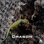 cover: The Magget - Dragon