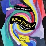 cover: Sam Townend - Bam Diggy