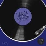 cover: Martin Sancez|Various - Dance Spektrum - Volume Diciassette