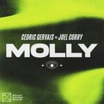 cover: Cedric Gervais|Joel Corry - Molly