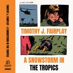 cover: Timothy J. Fairplay - A Snowstorm In The Tropics