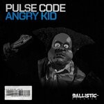 cover: Pulse Code - Angry Kid