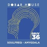 cover: Soulfreq - Amygdala