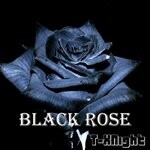 cover: T-xnight - Black Rose