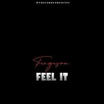 cover: Ferguson - Feel It