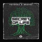 cover: Bravez|Futuraz - Secret Of Life