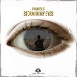 cover: Phandelic - Storm In My Eyes (Extended Mix)