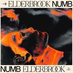 cover: Elderbrook - Numb