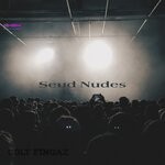 cover: Colt Fingaz - Send Nudes