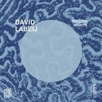 cover: David Labeij - Hollow Nights