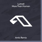 cover: Luttrell - More Than Human (Antic Remix)