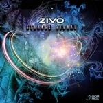 cover: Zivo - Strange Signal