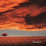 cover: Benchano - Sunset