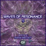 cover: Various - Waves Of Resonance, Vol 5 (Presented By Siana Melody)