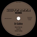 cover: Dr Gabbo - Superfly EP