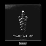 cover: Luca Testa|Patrick Lentz - Wake Me Up