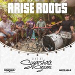 cover: Arise Roots - Arise Roots (Live At Sugarshack Sessions)