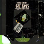 cover: Animal Collective - Car Keys