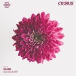 cover: Elixr - Blossom EP