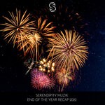 cover: Various - Serendipity Muzik End Of The Year Recap 2022