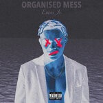 cover: Evans Junior - Organised Mess