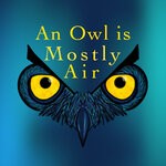 cover: Bald Halfwit - An Owl Is Mostly Air