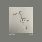 cover: Valts Incis - Altered Mind