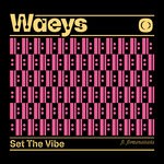 cover: Flowanastasia|Waeys - Set The Vibe