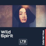 cover: Gabriel Moe - Wild Spirit