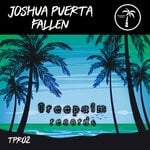 cover: Joshua Puerta - Fallen